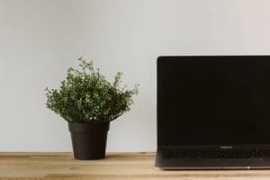 Macbook Air on desk with plant