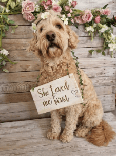Wedding dog sign - she loved me first