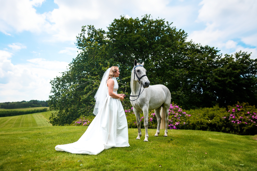 horse at wedding